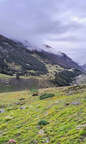 IMG_20250903_175457871_HDR_AE.jpg(1)